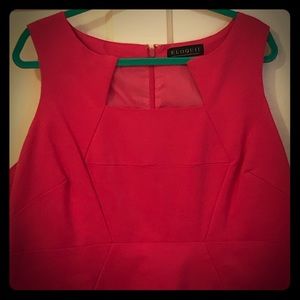 2/$40 Eloquii Hot Pink Brandy Dress